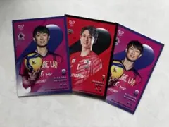 柳田将洋選手 トレーディングカード 8番 - メルカリ