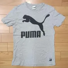 PUMA プーマ 半袖Tシャツ ライトグレー Mサイズのサムネイル