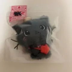 nctwish wishdoll リク クリ steady MD 未開封