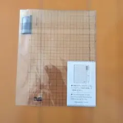 Item thumbnail for item f530672f-f5ee-4a13-805b-a75b05b53999