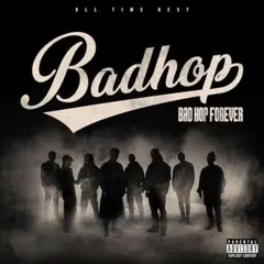 廃盤 激レア)BAD HOP 1stアルバム & BORN TO WIN セット 激レア 廃盤BAD HOP 1stアルバム 初期 希少badhop バッドホップ - メルカリ