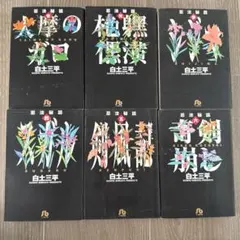全巻セット 忍法秘話 全6巻 白土三平 小学館文庫 - メルカリ