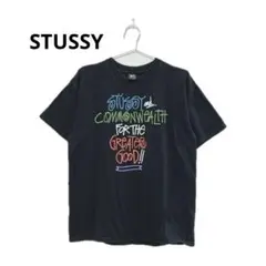 希少★STUSSY×Commonwealthステューシー×コモンウェルスTシャツ