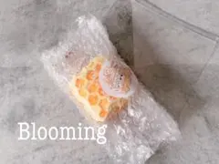 Blooming はちみつ　スクイーズ