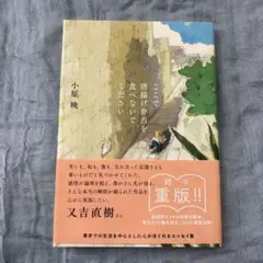 ここで唐揚げ弁当を食べないでください 小原晩