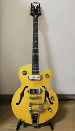 2025年最新】epiphone wildkatの人気アイテム - メルカリ