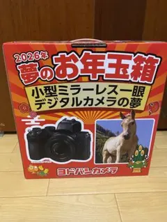 一眼レフデジタルカメラ（レンズキット） の夢　ヨドバシカメラ 2025年 一眼レフデジタルカメラ レンズキットの夢 ヨドバシ 福袋 福箱 2025