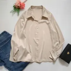j161　ブラウス　長袖　【2XL】ベージュ　大きいサイズ　ツルツル