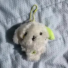 2026年最新】NCT wish ぬいぐるみ リョウの人気アイテム - メルカリ