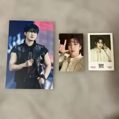 Stray Kids dominATE ソウルコン DVD トレカ チャンビン