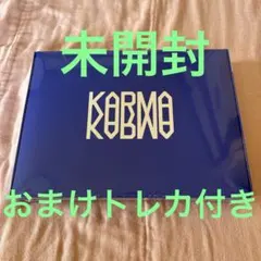 Stray Kids KARMA 未開封 おまけトレカ付き