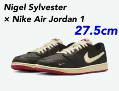 Nigel Sylvester × Nike Air Jordan 1