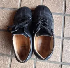 Item thumbnail for item f26499a2-6e42-42e7-97d6-614ddd43a70c