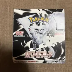 ホワイトフレア 1BOX