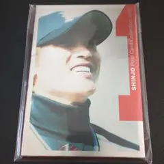 【未使用】SHINJO Post Card Collection 2006