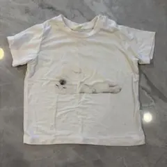 ジェラピケ　プリント ホワイトTシャツ