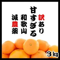 ☆【安心安全】和歌山 減農薬みかん 箱込み 3kg 甘い！農薬節約栽培0802