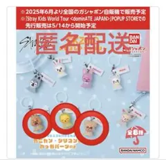 skzoo めじるしアクセサリー　3点セット