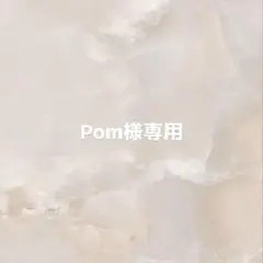 【Pom様専用ページ】ネイルチップ