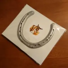 【本物の蹄鉄】馬蹄