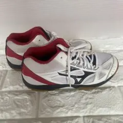 MIZUNO バドミントンシューズ ホワイト レッドのサムネイル