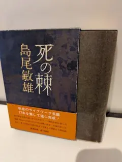 中古】 中山みき研究ノート / 八島 英雄 / 立風書房 - メルカリ