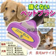 Item thumbnail for item 097e3ed6-f5f5-4453-9dbf-4b7db5a99b3c