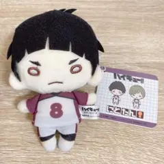 2025年最新】五色工の人気アイテム - メルカリ