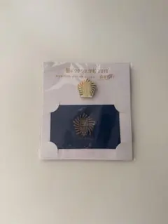 嵐のワクワク学校 2019 ピンバッジ