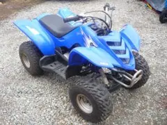 YAMAHA ４輪バギー・・・輸入車？　公道走行可能！ミニカーナンバー付き！のサムネイル