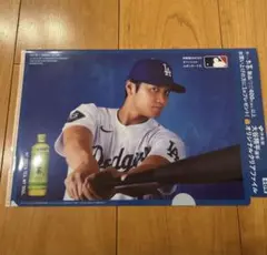 Item thumbnail for item 4294de3e-a559-42c1-b9a0-f9258dd9858e