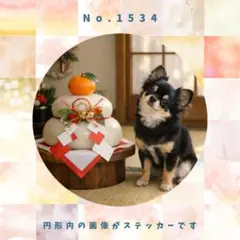 【送料無料】　防水ステッカー　チワワ　お正月　No.1534