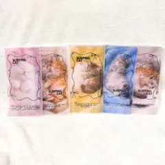 22.ピクニックアートセービング　貯金リフィル　A6 22.ピクニックアートセービング 貯金リフィル A6 - メルカリ