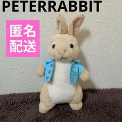 Ty ピーターラビット ビーニーベイビーズ ぬいぐるみ