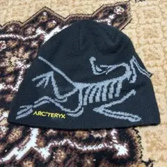 ARC'TERYX スケルトンロゴビーニー - メルカリ