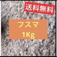 Item thumbnail for item 289b3cf4-9e17-43d3-a797-cb71e1785483