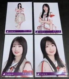 乃木坂46 40th ビリヤニ 封入 生写真 コンプ まとめ売り 6枚セット