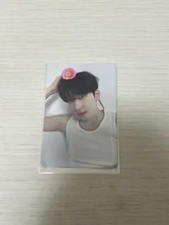 SEVENTEEN ウォヌ　トレカ