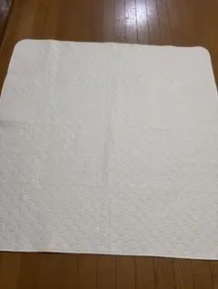 INULABO 洗えるペットシーツ 2枚セット 120×120のサムネイル