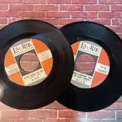 Dion 美品2枚
