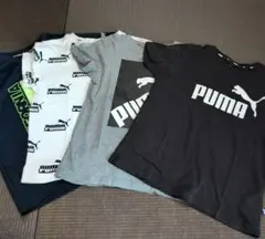 PUMAとOutdoor Products Tシャツセット 140