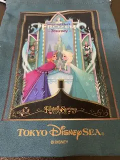 巾着 アナ雪 ファンタジースプリングス ディズニーシー ディズニーランド