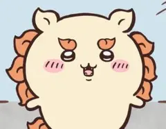 ぺちぺち様　専用出品　合格レポート