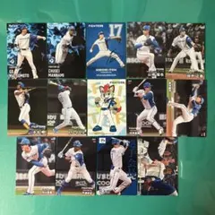 プロ野球チップスカード 北海道日本ハムファイターズ 14枚セット