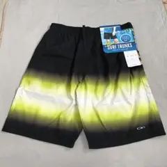 Item thumbnail for item 636aeb68-4599-4584-abfe-e49156284e2b