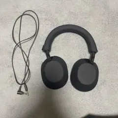 Item thumbnail for item c4071a7d-eb95-4b3d-a109-5cca9ddc2b5b