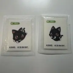 NCTWISH リク wishcat ステッカー