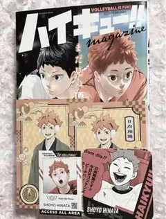 ハイキュー vリーグ ハイキューマガジン コースター idカード アクスタ