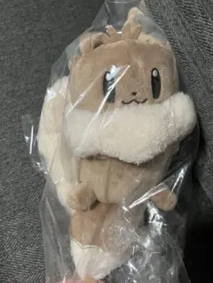 ボタンのイーブイ リュック型 ポーチ