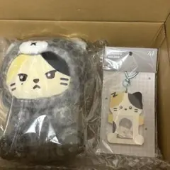 ボンレス猫 フルーツ着ぐるみぬいぐるみ/ICパスケース/巾着 - メルカリ